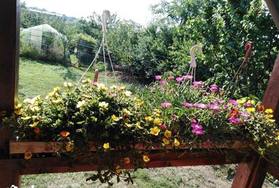 Casă cu 3 camere cu Teren 596 Mp în Iepurești - 17