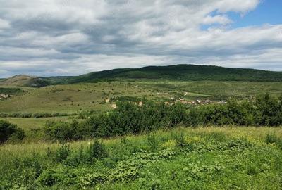 Teren de 2200 mp, în Rădaia - 7