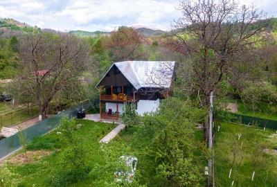 Vanzare vila, Stefesti-Prahova - 43