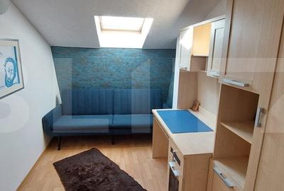 Apartament 3 camere langa Parcul Tatarasi - 2