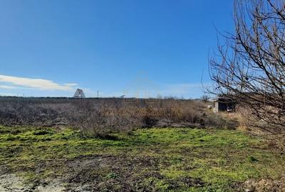 Vama Veche | Teren intravilan pentru investiții imobiliare! - 7