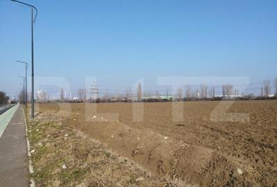 Teren 10000mp, 38ml deschidere, Berceni - 3