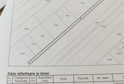 Spațiu comercial, în Săvinești - 4