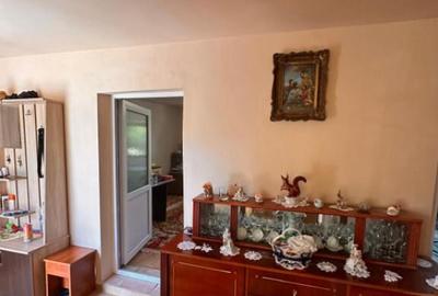 Casa in centrul Cobadinului - 10