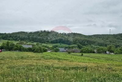 Teren de 1495 mp, în Dobreni - 1