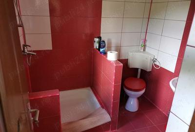 Cabana de vacanta Casoaia jud. Arad - 5