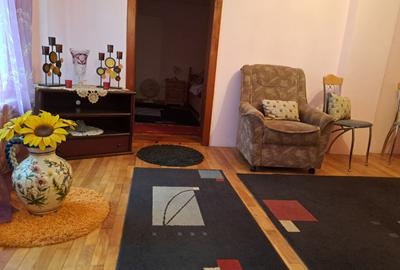 Casa mare cu 2 spatii comerciale, in Faget - 29