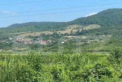 Teren Saratel, 30 ari extravilan - 5