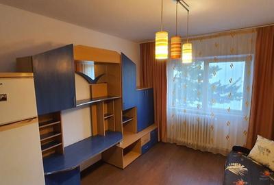 Garsonieră în Timișu de Jos - 5