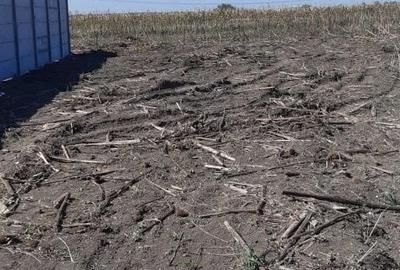 Teren de 1367 mp, în Săbăreni