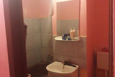 Garsonieră în Tineretului - 3