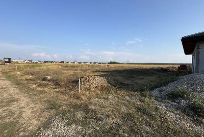 Teren de 559 mp, în Nojorid - 5