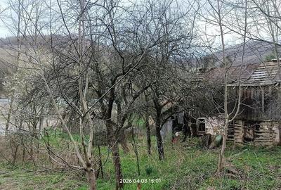 Casă cu 3 camere cu Teren 4660 Mp în Central - 2