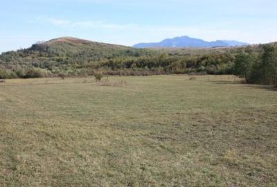 Spațiu comercial, în Drumul Carului - 6