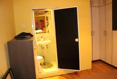 Apartament cu 2 camere semidecomandat, mobilat în Romană - 10