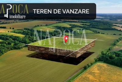 Teren intravilan pentru constructii de vanzare in Borhanci, Cluj Napoca - 4