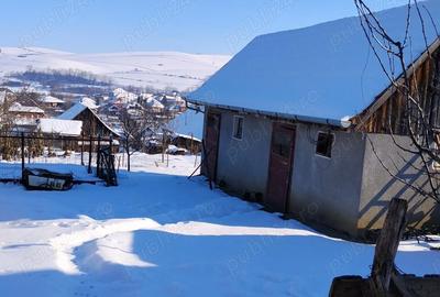 Casă cu Teren 609 Mp în Central - 3