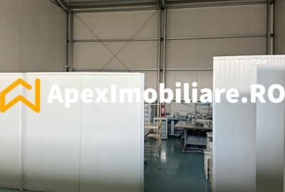 Spațiu comercial, de 550 mp, în Vest - 13
