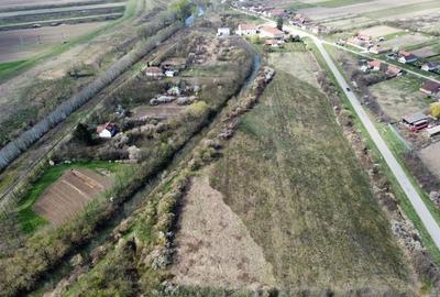 Teren intravilan Balint 22.500 mp - 6