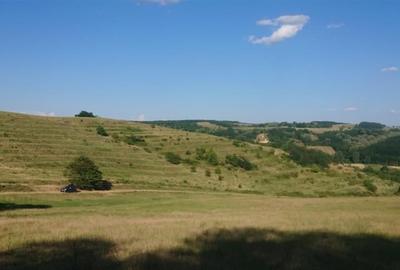 Reco  Teren extravilan Tileagd - 7