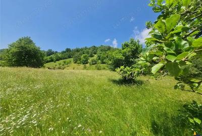 Teren de 1449 mp, în Moieciu - 16