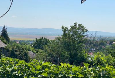 Teren 1000 mp si casa 75 mp - 5