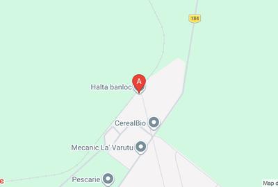 Casă individuală cu 5 camere cu Teren 1410 Mp în Banloc - 1