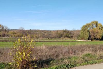 Teren de 1000 mp, în Șimnicu de Sus