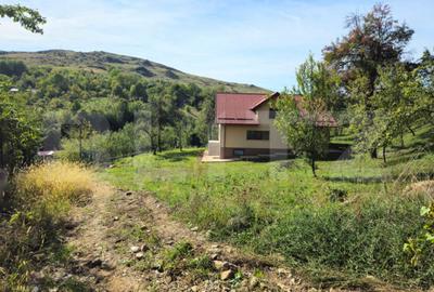 Casă cu 5 camere cu Teren 3000 Mp în Runcu - 8