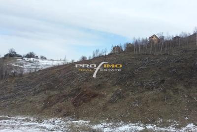 Teren în Moieciu - 6