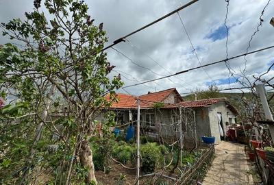 Casă cu 3 camere în Babadag - 9