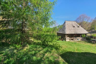Teren Construcții intravilan de 8550 mp, în Budești - 6