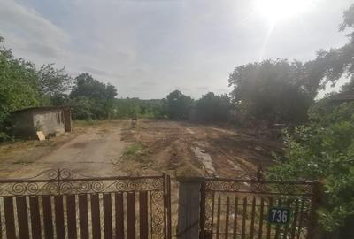 Vlad Tepes sat, jud.Giurgiu - 5