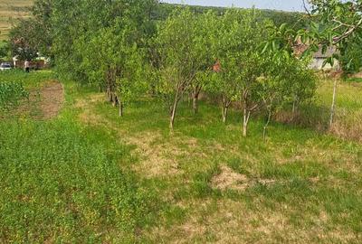 Teren de 2889 mp, în Bencecu de Jos - 4