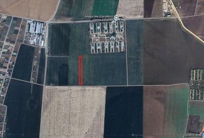 Spațiu comercial, în Exterior Vest - 1