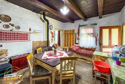 Casă individuală cu 2 camere cu Teren 2989 Mp în Zagon - 12