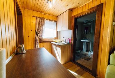 Casa de vacanta (Borzont, jud. Harghita) - 8