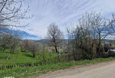 Spațiu comercial, în Ghioșești - 4