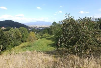 Teren Construcții intravilan de 1618 mp, în Brebina - 6