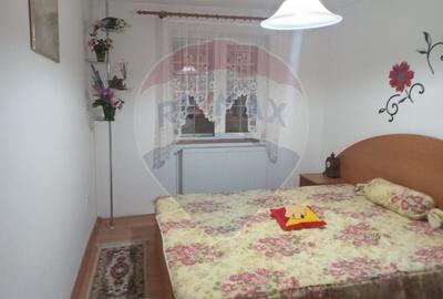 OCAZIE!!! CASA SUPERBA cu teren in JULITA jud Arad in M tii Zarandului - 18