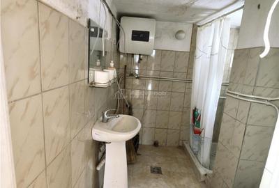 Casă cu 2 camere cu Teren 325 Mp în Săliște - 11