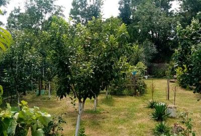 Casă cu 3 camere în Recea - 8