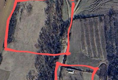 Teren de 12000 mp, în Vladnic - 1