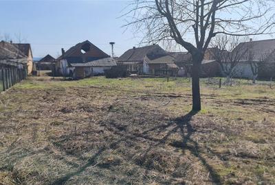 Casă individuală cu 4 camere cu Teren 1270 Mp în Central - 9