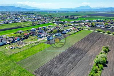 TEREN  BRASOV- STUPINI/ DEZVOLTARE IMOBILIARA - 2