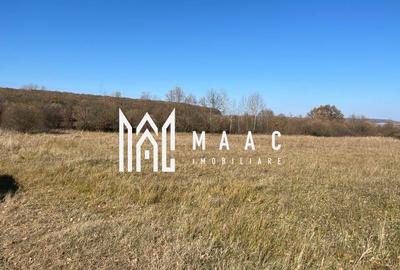 Teren industrial | servicii Selimbar DN | 2934mp - 1