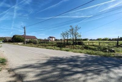 Spațiu comercial, în Socodor - 1