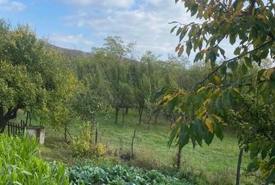 Casă cu 3 camere în Coca-Antimirești - 2