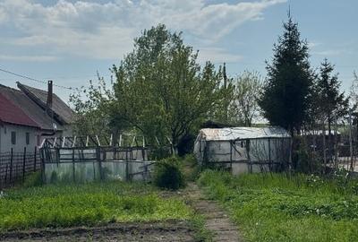 Vand teren intravilan 1000 mp in Nanov Langa Alexandria zona stadion - 2