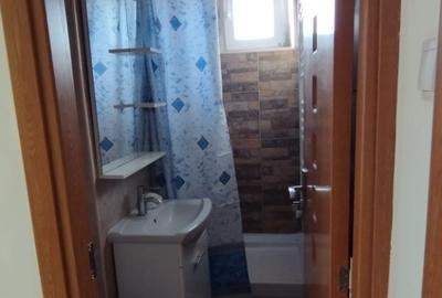 Apartament de inchiriat 2 camere, Centrul civic - 5